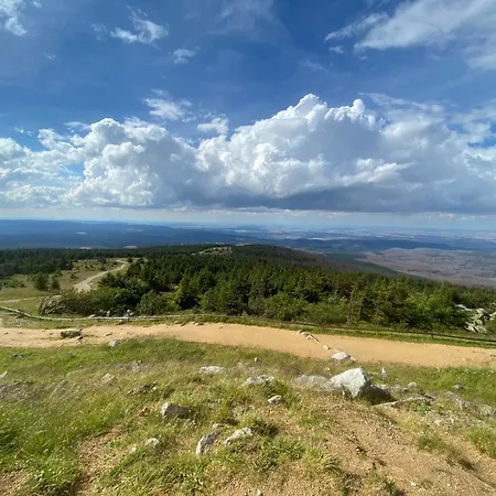 Traumfewo Grueneseck In Innenstadt Mit Wald Von Harztraveler アパート